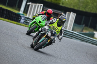 Lower Group Green Bikes